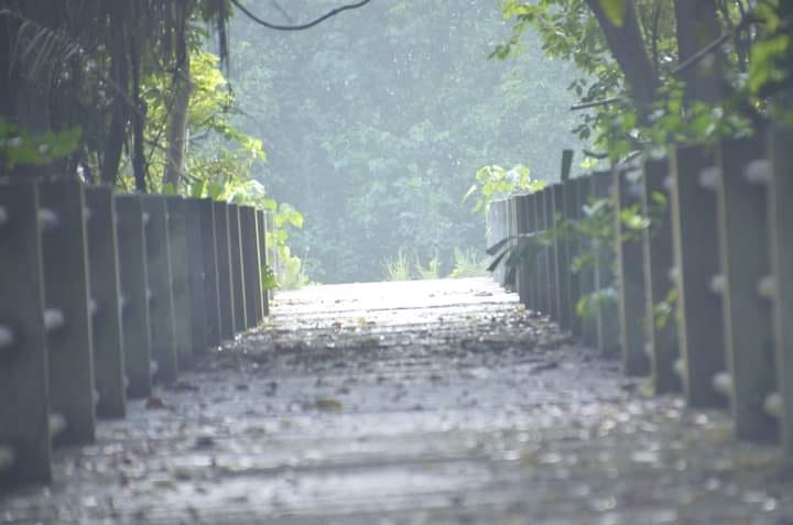 สวนสาธารณะเฉลิมพระเกียรติเกาะกลางบางทะลุ