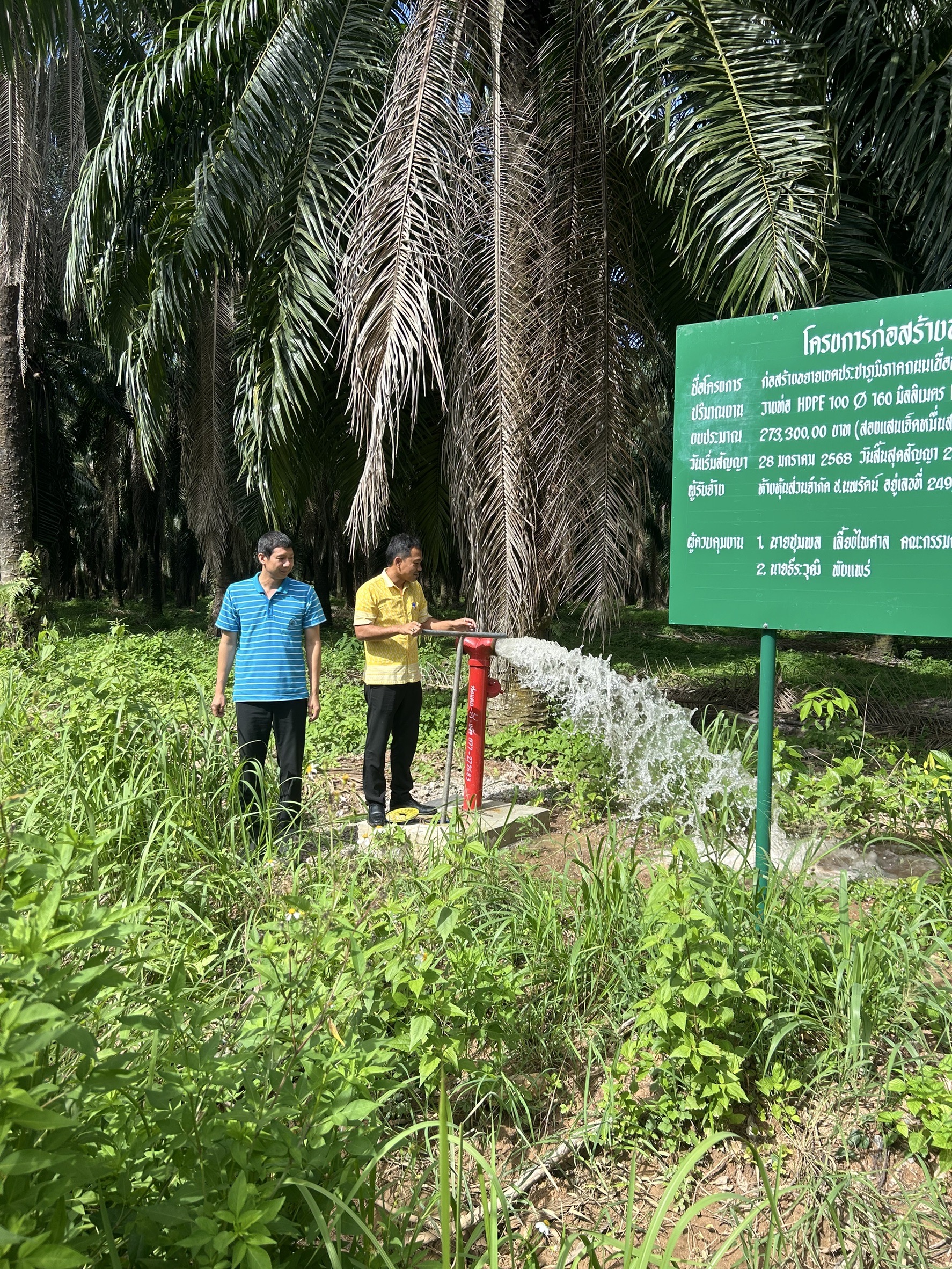 คณะกรรมการตรวจรับพัสดุ โครงการขยายเขตประปาภูมิภาคถนนเขื่อนบางทรายทอง หมู่ที่ 8 ได้ไปตรวจงานจ้างตามโครงการ ณ สถานที่ก่อสร้าง ตรวจวัดระยะทาง ความเรียบร้อย เปิดทดสอบการไหลของน้ำประปา และประชุมตรวจรับงานจ้าง