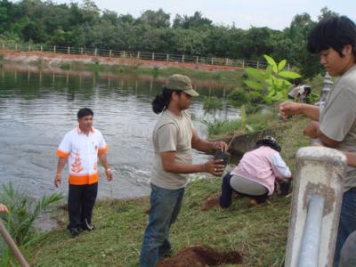 องค์การบริหารส่วนตำบลมะขามเตี้ยเปิดธนาคารต้นไม้