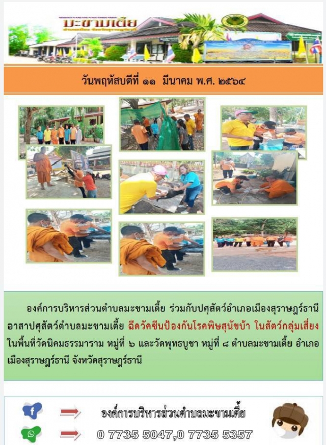 ฉีดวัคซีนป้องกันโรคพิษสุนัขบ้า ในสัตว์กลุ่มเสี่ยง ในพื้นที่วัดนิคมธรรมาราม หมู่ที่ ๖ และวัดพุทธบูชา 