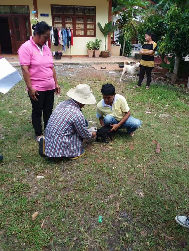 รณรงค์ฉีดวัคซีนป้องกันพิษสุนัขบ้า ประจำปี 2561