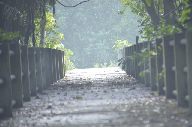 ประชาสัมพันธ์แหลองท่องเที่ยวแห่งใหม่ "สวนสาธารณะเฉลิมพระเกียรติเกาะกลางบางทะลุ"